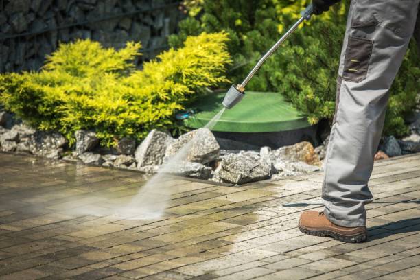 Best Boat and Dock Cleaning  in Macclenny, FL