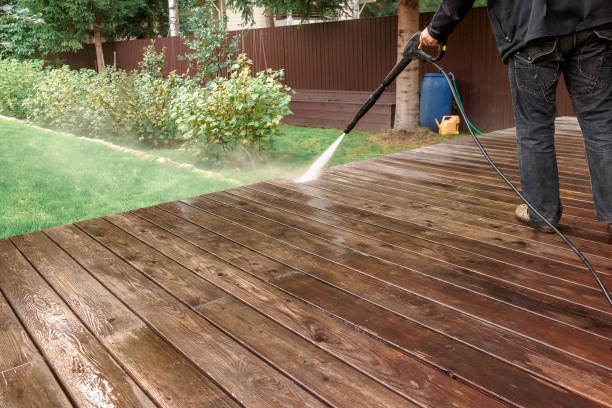 Best Animal Enclosure Cleaning  in Macclenny, FL